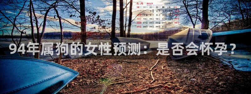聚彩源