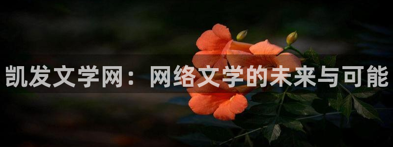 湖北聚彩新材料有限公司