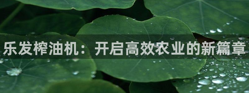 聚彩大发快三
