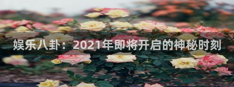 聚彩welcome怎么安装