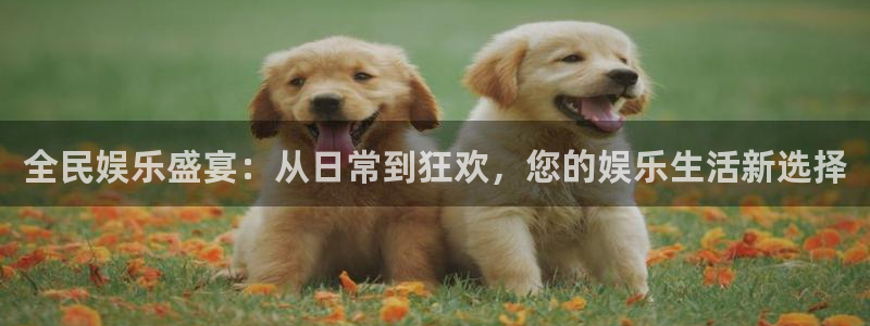 聚彩电子