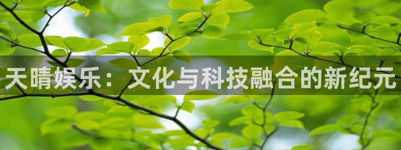 大发聚彩welcome