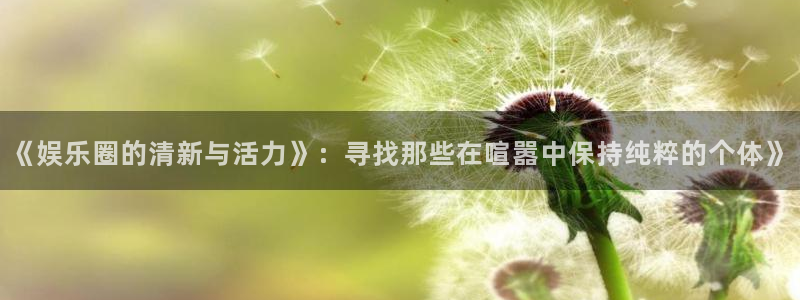 新南聚彩荟