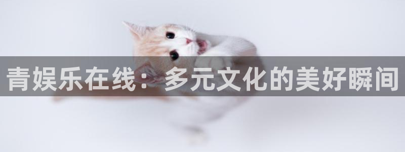 聚彩堂论坛精英高手