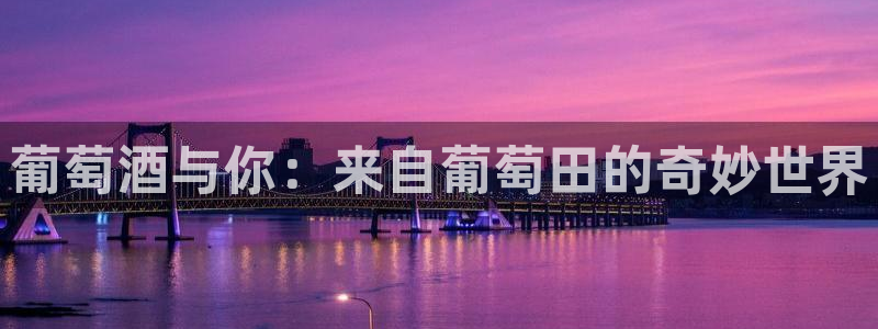 新南聚彩荟
