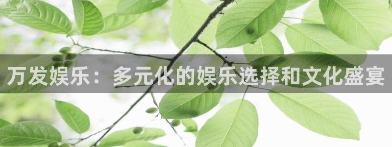 聚彩资料