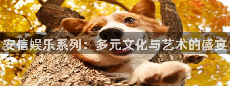 聚彩堂致力打造