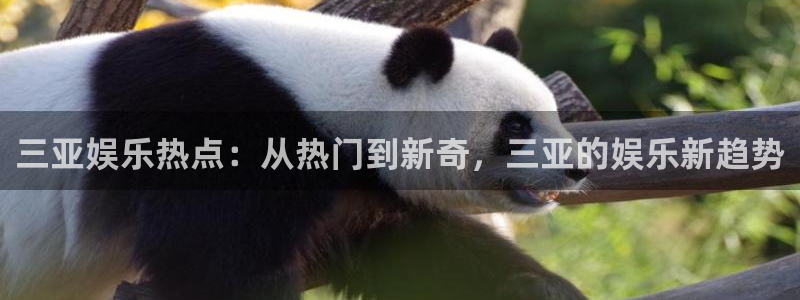新南聚彩荟