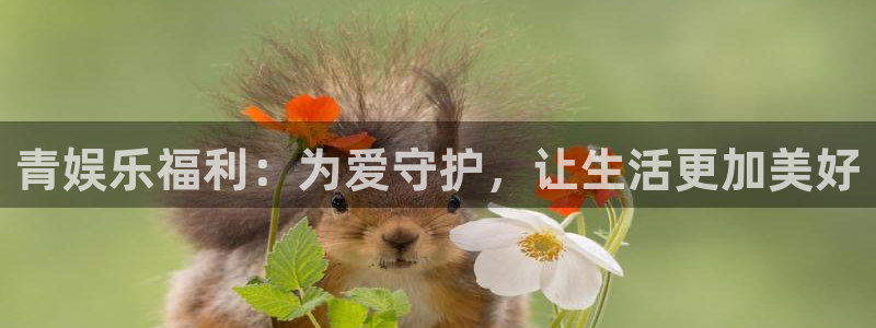 聚彩网app