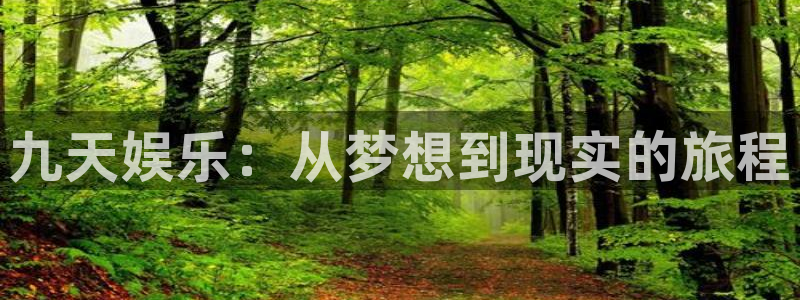 聚彩堂致力打造：九天娱乐：从梦想到现实的旅程