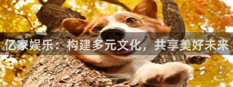 新疆强力聚彩电子科技有限公司：亿家娱乐：构建多元文化，共享美好未来