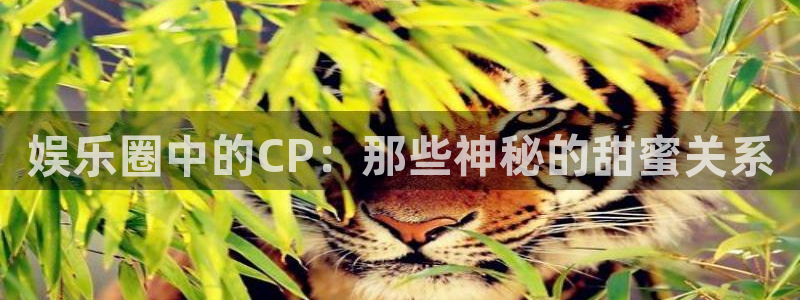 聚彩网：娱乐圈中的CP：那些神秘的甜蜜关系