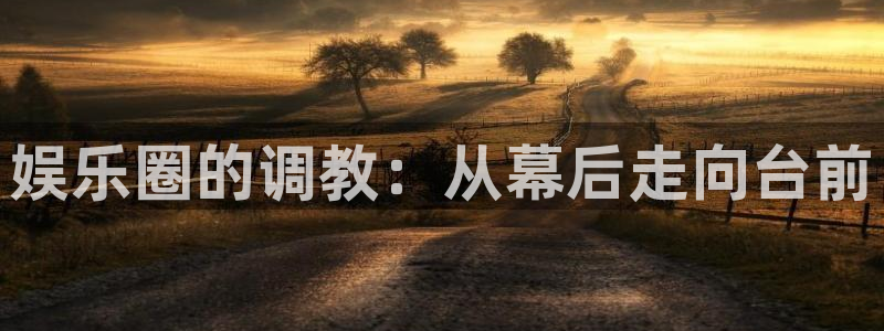 精聚彩研画材(上海)有限公司：娱乐圈的调教：从幕后走向台前