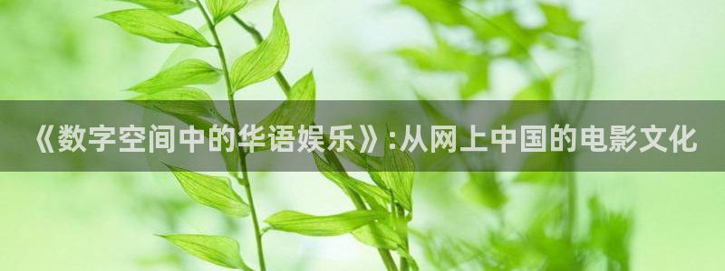 聚彩堂免费资料大全最新：《数字空间中的华语娱乐》:从网上中国的电影文化