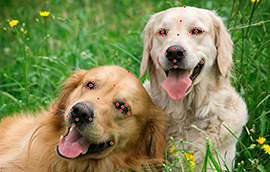 聚彩登录:AI为人赋能人为AI赋魂